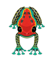 RainForest Dart Frog