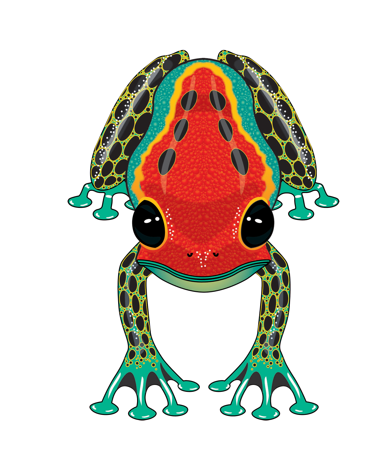 RainForest Dart Frog