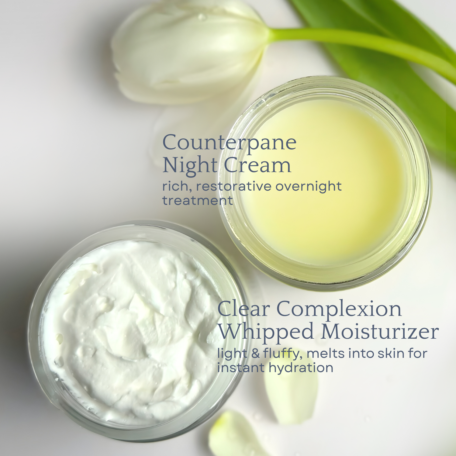 Day & Night Face Moisturizer Duo - BIG FRENCHIES