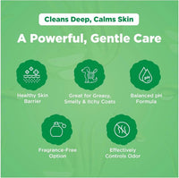 Dermafoam Chlorhexidine Dog Shampoo for Itch Allergies Hot Spots 16.9oz
