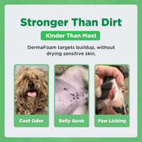 Dermafoam Chlorhexidine Dog Shampoo for Itch Allergies Hot Spots 16.9oz