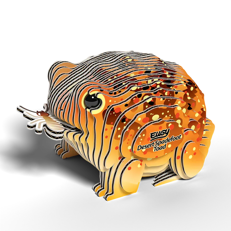 Desert Spadefoot Toad 3D Cardboard Model Kit Eugy - BIG FRENCHIES