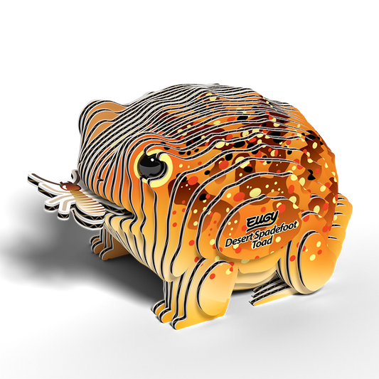 Desert Spadefoot Toad 3D Cardboard Model Kit Eugy