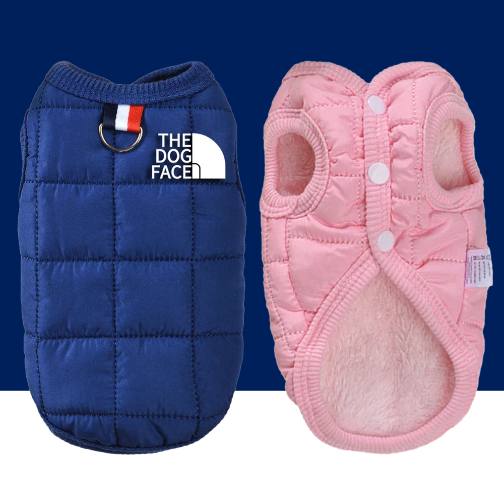 Designer Trendy Dog Clothes – Winter Warm Pet Coat for Small & Medium Dogs - BIG FRENCHIES