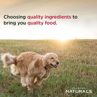 Diamond Naturals Small Medium Breed Puppy Dry Dog Food 18lbs.