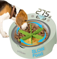 Digital Pet Food Bowl with Scale & Slow Feeder Insert – Cats & Dogs Portion Control - BIG FRENCHIES