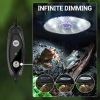 Dimmable UVB Reptile Light LED UVA UVB Lamp Tropical Desert Fixture