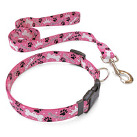 Diva Dog Dog Collar