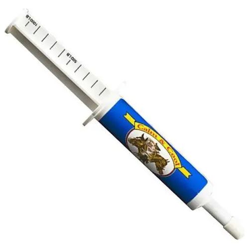 Divine Equine Oralx Paste Syringe for Horses 34g