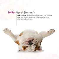 Dog Cat Anti Diarrhea Paste Probiotic Kaolin Pectin Digestive Support
