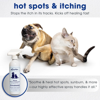 Dog Itch Spray Hot Spot Relief Aloe Eucalyptus Skin Treatment Made USA 16oz