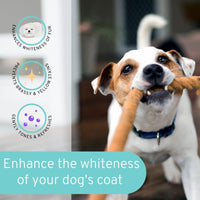 Dog Whitening Shampoo 8oz Tearless Natural Brightening White & Dark Coats