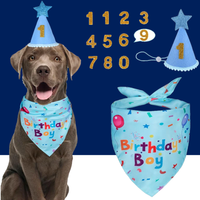 Dog Birthday Party Supplies – Premium Bandana & Hat Set for Dogs - BIG FRENCHIES