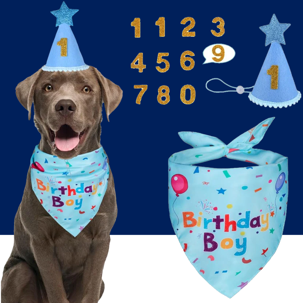 Dog Birthday Party Supplies – Premium Bandana & Hat Set for Dogs - BIG FRENCHIES