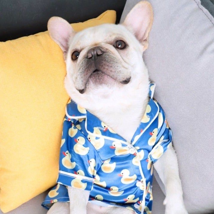 Pet Silk Duck Pajamas - BIG FRENCHIES