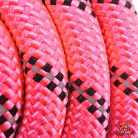 Mr. Peanut's Basics Rope Leash - Hand Made in the USA