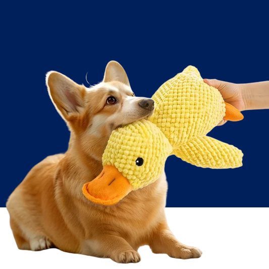 Dog Plush Sleeping Duck – Bite-Resistant & Sound Toy - BIG FRENCHIES
