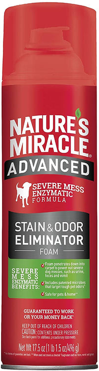 Advanced Stain & Odor Eliminator Dog - Nature's Miracle