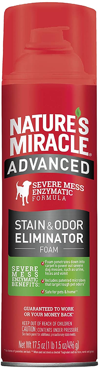 Advanced Stain & Odor Eliminator Dog - Nature's Miracle