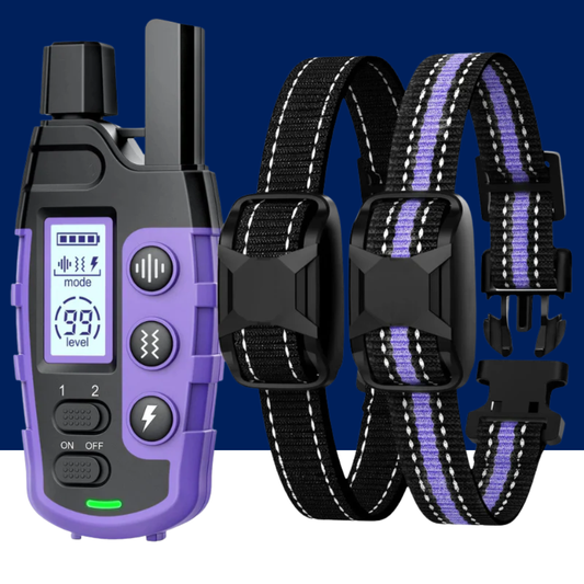 Dog Training Collar with Remote and Vibration Modes - BIG FRENCHIES