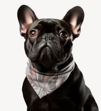 Sebastian & Clementine Vintage Collection Bandana Collar for Dogs and Cats