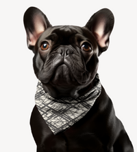 Sebastian & Clementine Vintage Collection Abstract Lines Bandana Collar for Dogs and Cats