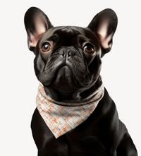 Sebastian & Clementine Vintage Collection Lines Bandana Collar for Dogs and Cats