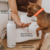 24oz Dog & Me Insulated Water Bottle - BIG FRENCHIES