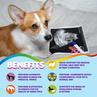Multivitamin for Dogs & Cats. Prenatal Vitamins. 60 Tabs - BIG FRENCHIES