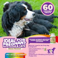 Multivitamin for Dogs & Cats. Prenatal Vitamins. 60 Tabs - BIG FRENCHIES