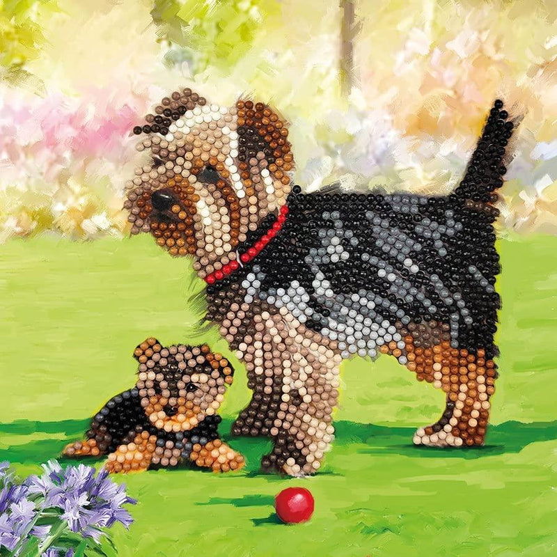 Dogs Crystal Art Card Kit Craft Buddy - BIG FRENCHIES