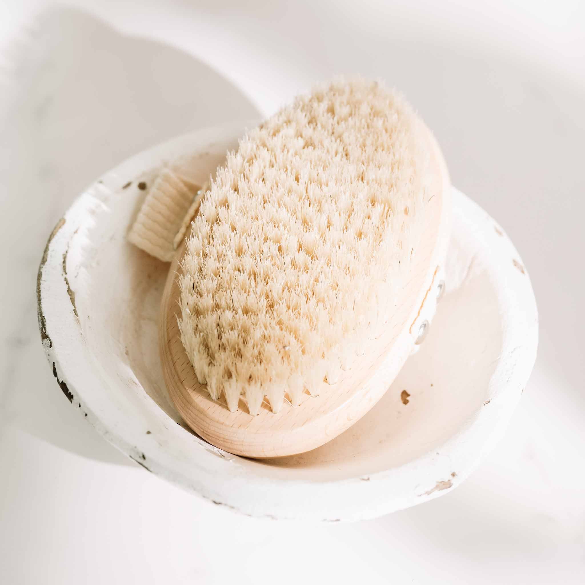 Dry Body Brush - BIG FRENCHIES