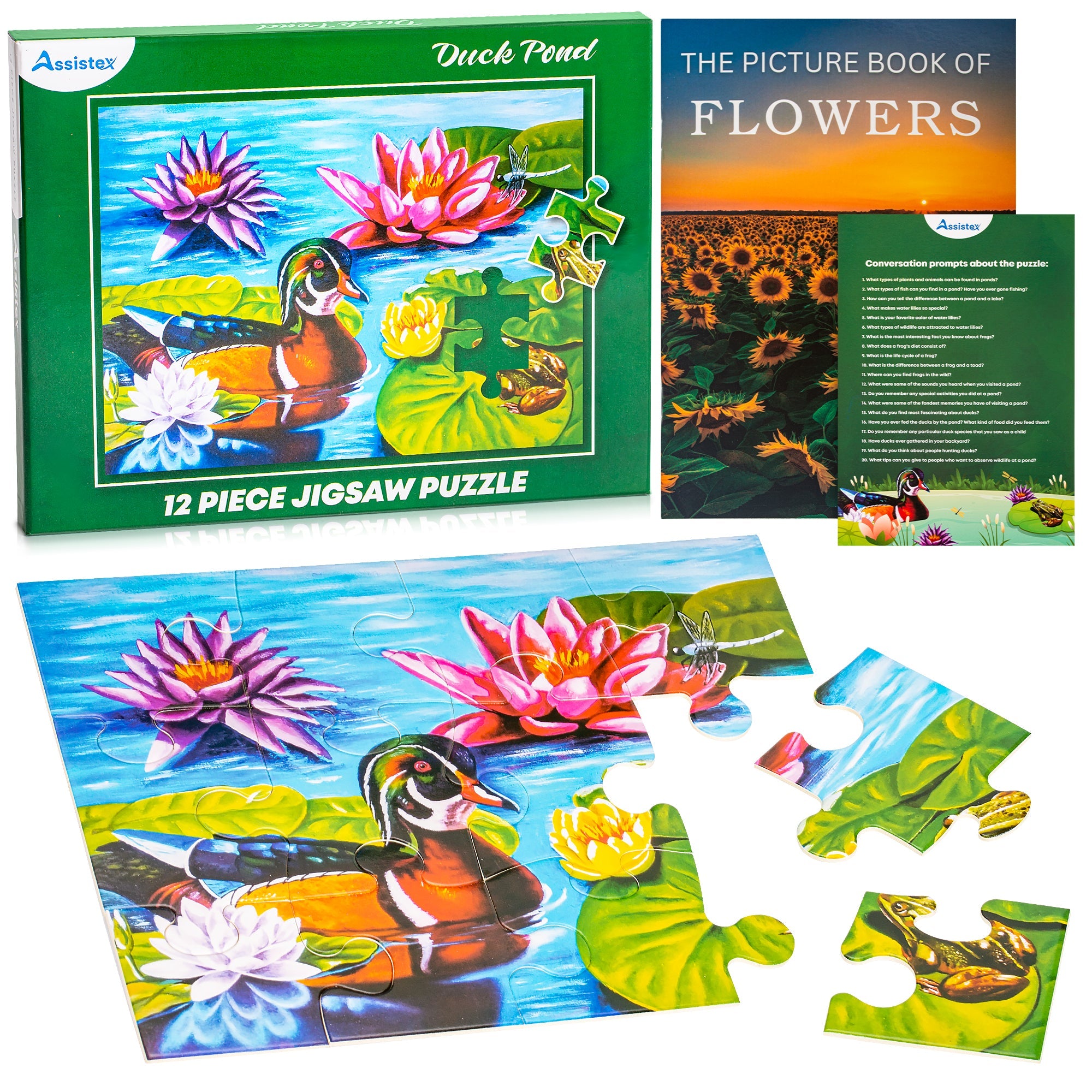 DEMENTIA PUZZLE 12 LARGE PIECES JIGSAW – Duck Pond