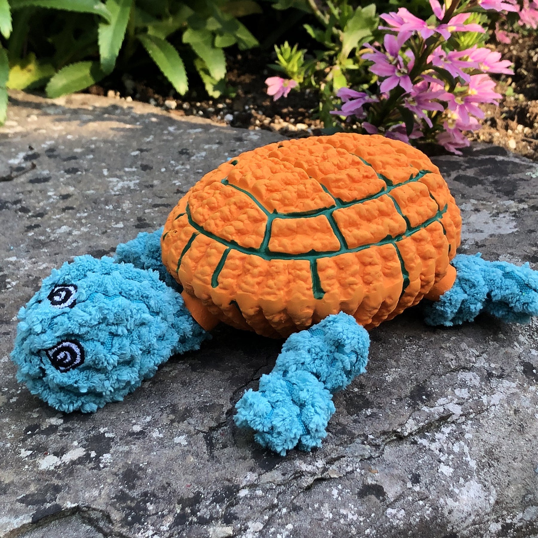 Huggle-Fusion® Dude Turtle Plush & Latex Dog Toy - BIG FRENCHIES