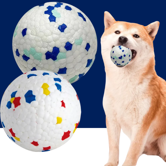 Durable Chew Ball Dog Toy – Interactive Teeth Cleaning Ball - BIG FRENCHIES