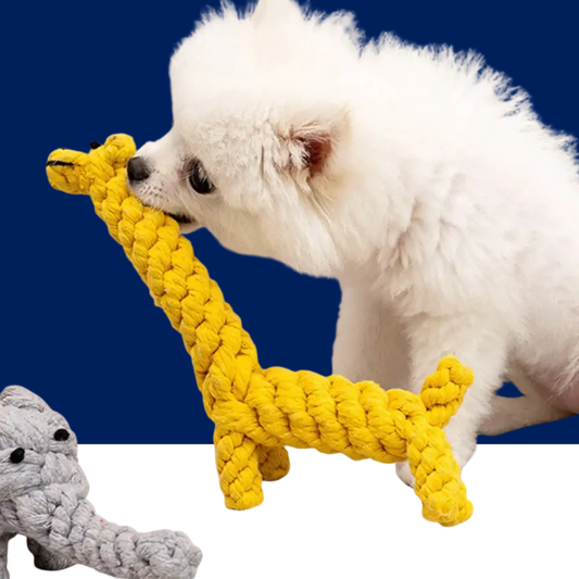Durable Rope Knot Dog Toy – Hand-Woven Cotton Chew Toy for Small & Medium Dogs - BIG FRENCHIES
