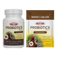 Durvet Healthy Flock Poultry Probiotics Daily 100gm