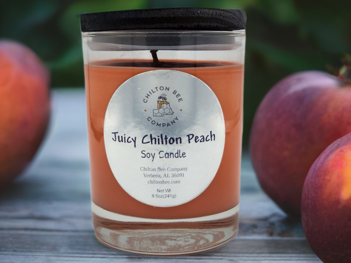 Single Wick Soy Candle - BIG FRENCHIES