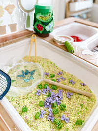 Bugs Printable Dramatic Play