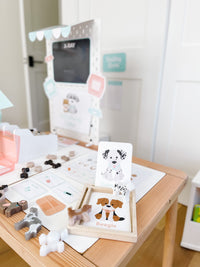 Vet Clinic Dramatic Play