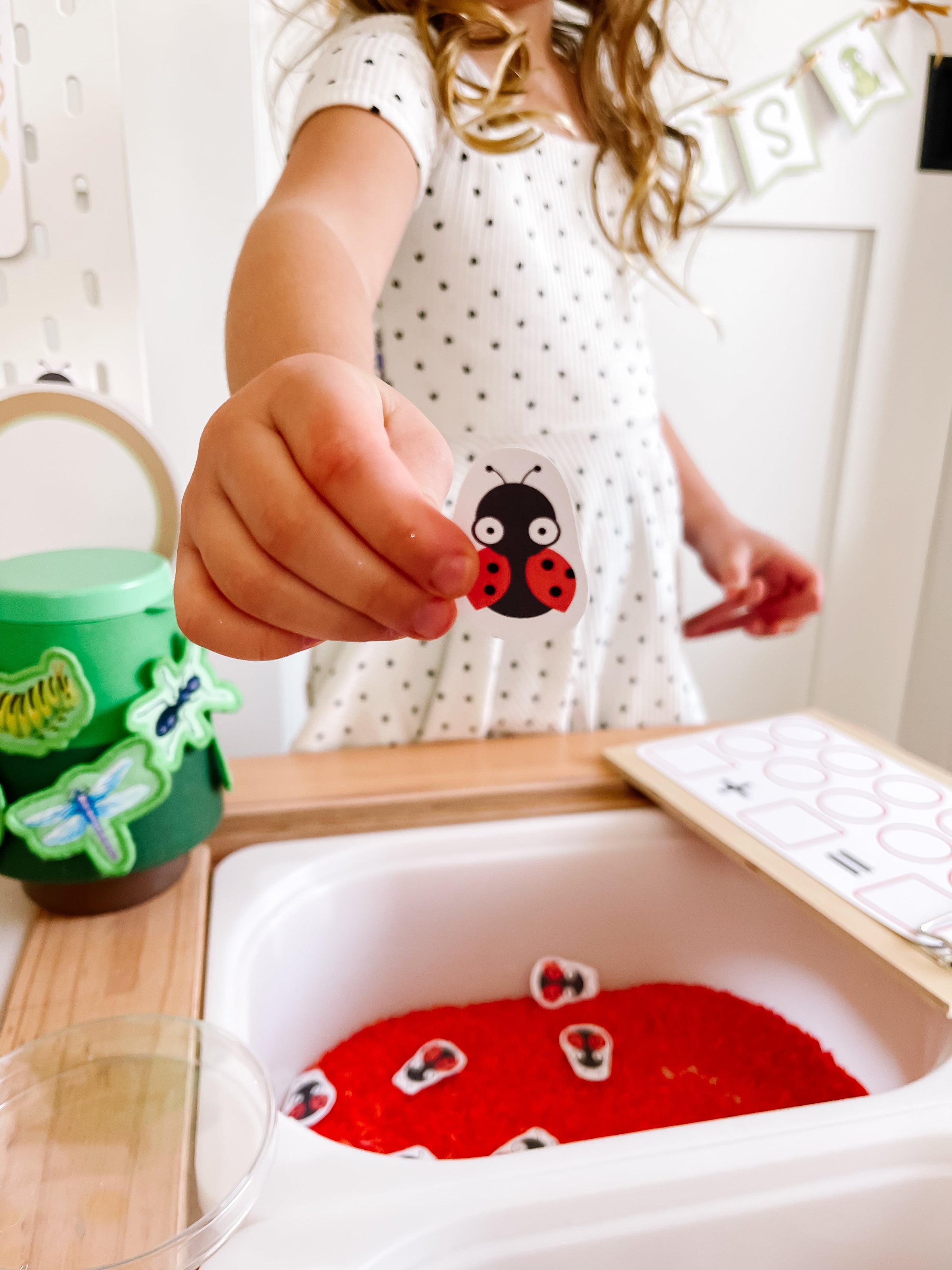 Bugs Printable Dramatic Play