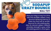 Crazy Bounce Rubber Dog Chew Toy for Power Chewers | Retrieving Ball | USA Made - BIG FRENCHIES