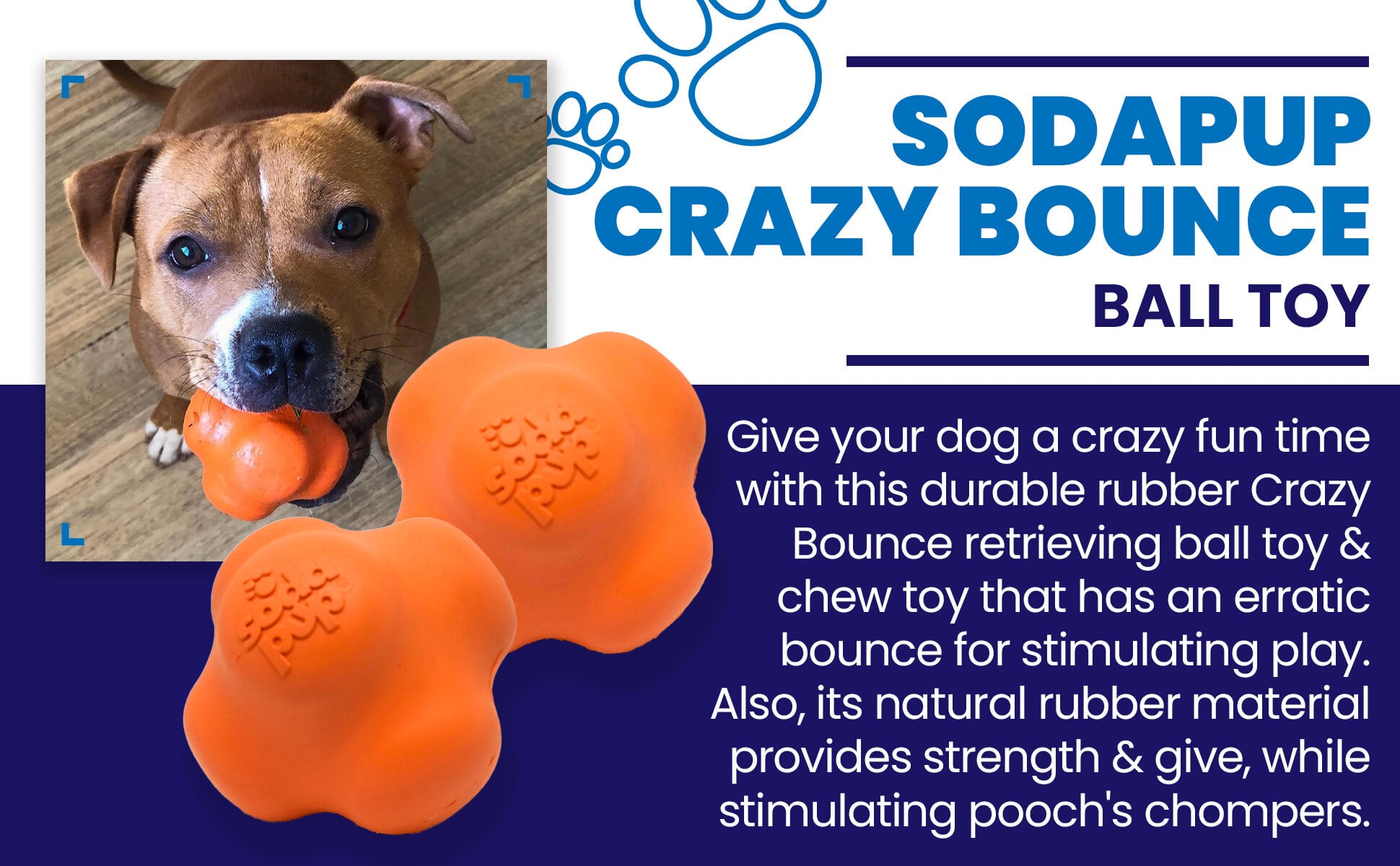 Crazy Bounce Rubber Dog Chew Toy for Power Chewers | Retrieving Ball | USA Made - BIG FRENCHIES