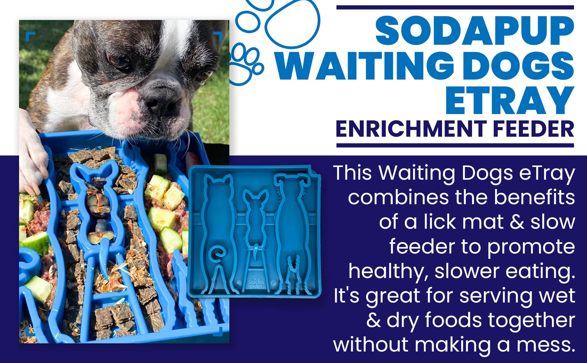 Waiting Dogs eTray - Shallow Slow Feeder Bowl for Enrichment | USA Made - BIG FRENCHIES
