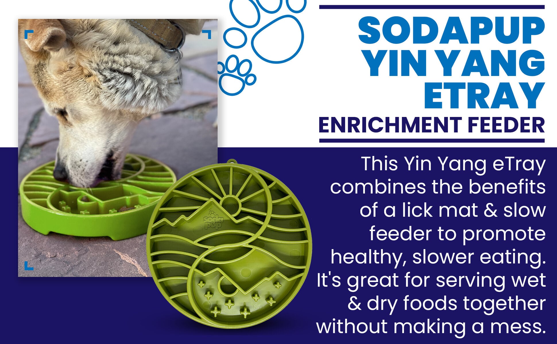 Sun and Moon eTray - Shallow Slow Feeder Dog Bowl for Enrichment | USA Made - BIG FRENCHIES