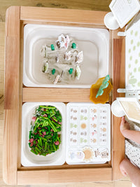 Desert Animals Printable Dramatic Play Kit