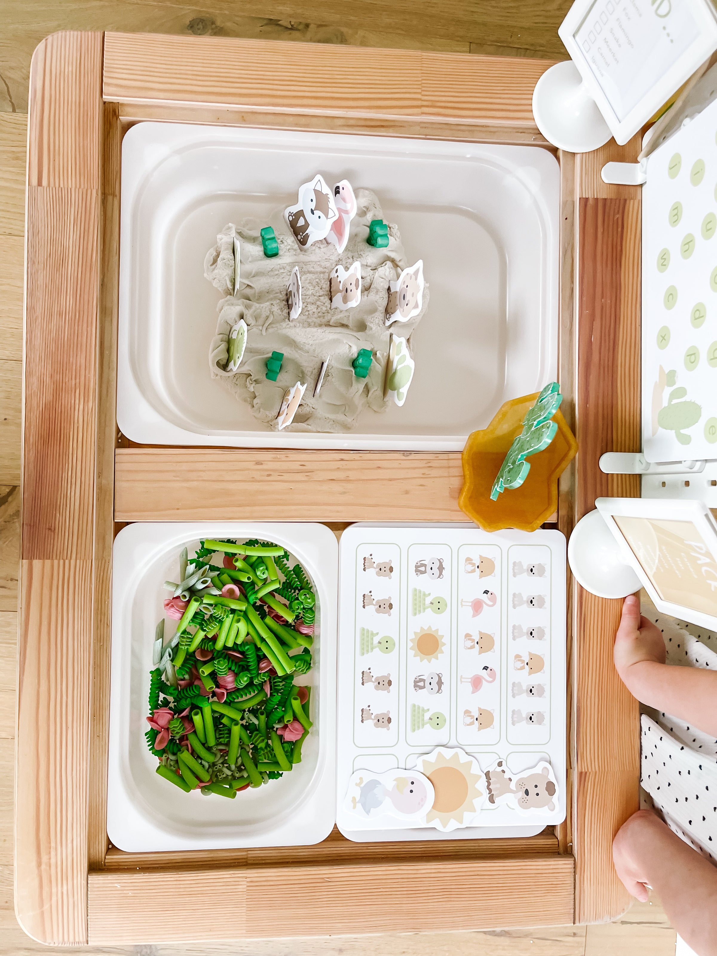 Desert Animals Printable Dramatic Play Kit