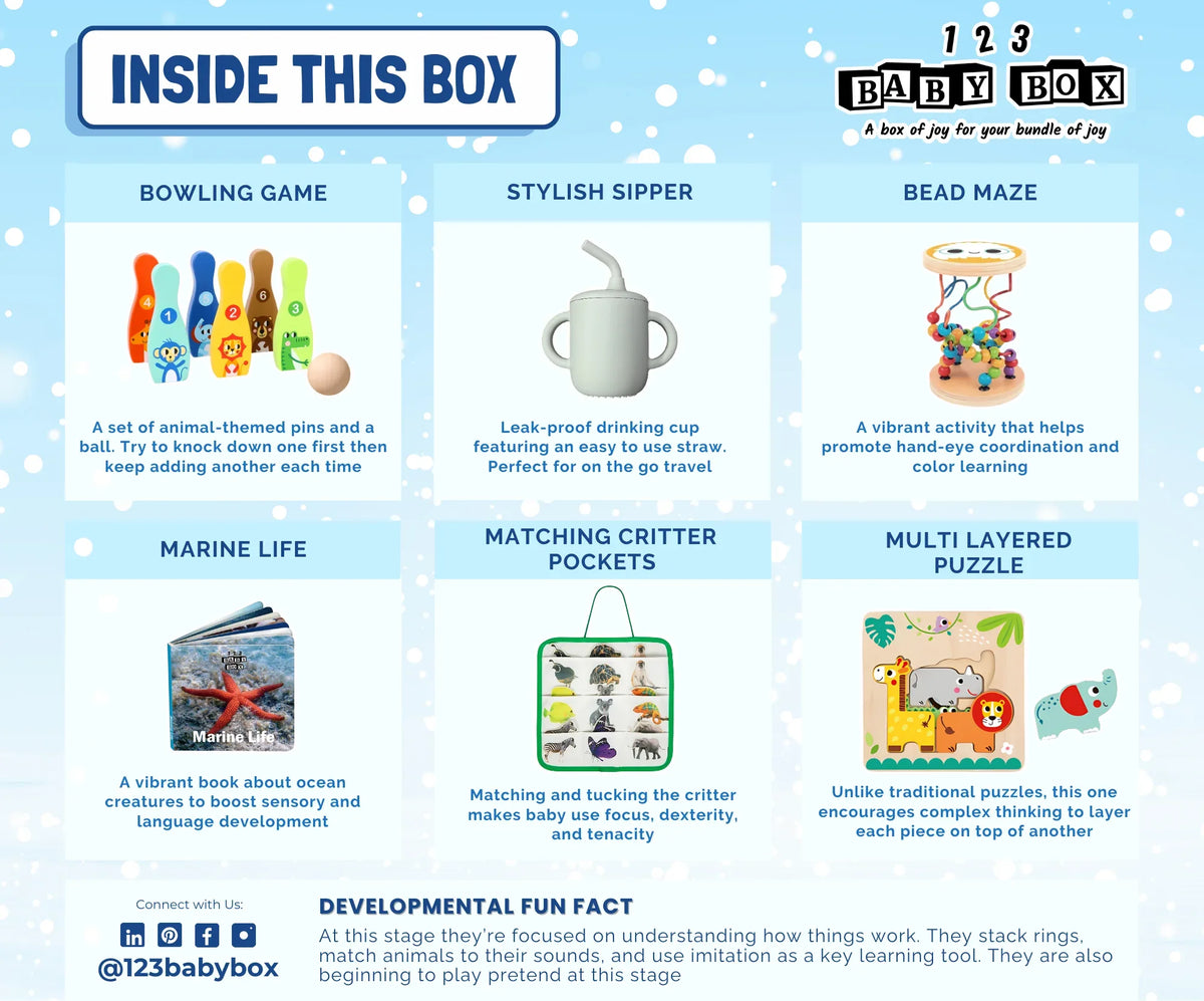 Montessori Educational Box (19-21 Months) - BIG FRENCHIES