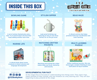 Montessori Educational Box (19-21 Months)