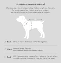 Capsule Raincoat - Green